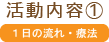 活動内容① １日の流れ・療法